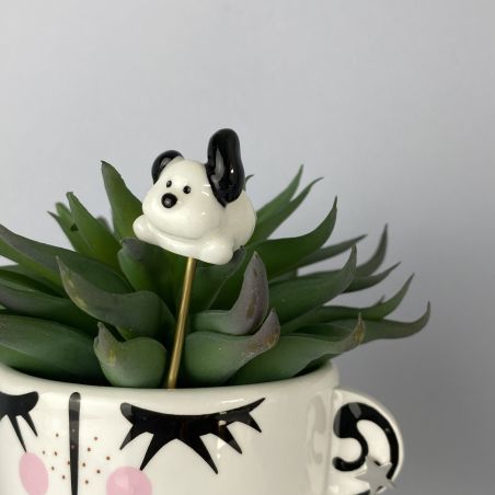 Pic chien (plusieurs modèles)