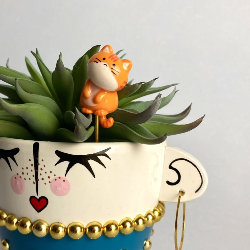 Pic chat (plusieurs modèles)