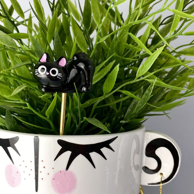 Grand pic chat (plusieurs modèles)