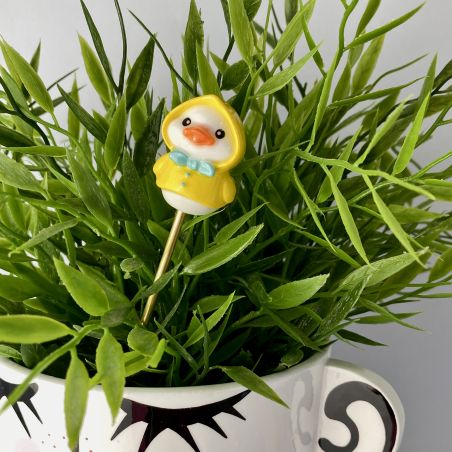 Grand pic canard (plusieurs modèles)