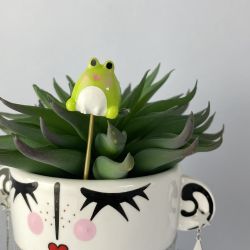 Petit pic grenouille