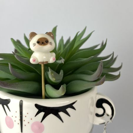 Mini pic chat (plusieurs modèles)