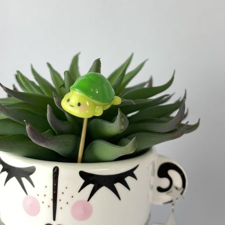 Mini pic tortue