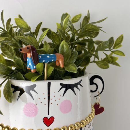 Pic teckel prévente