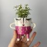 Odette (mini)