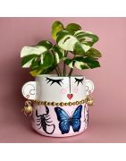 Personnaliser mon pot